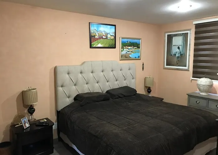 The Nest Cdmx Comfort And Great Location